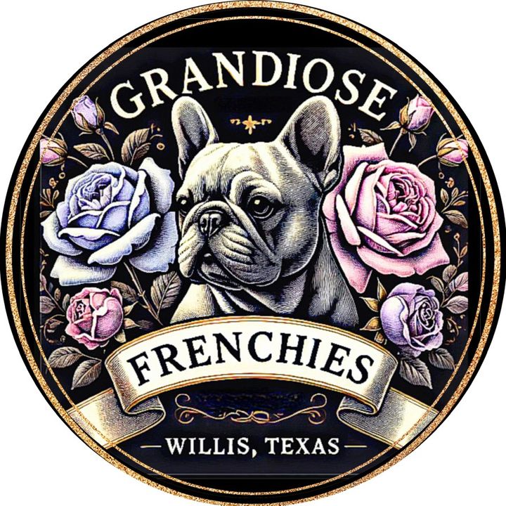 Grandiose frenchies
