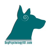 Dog Psychology 101
