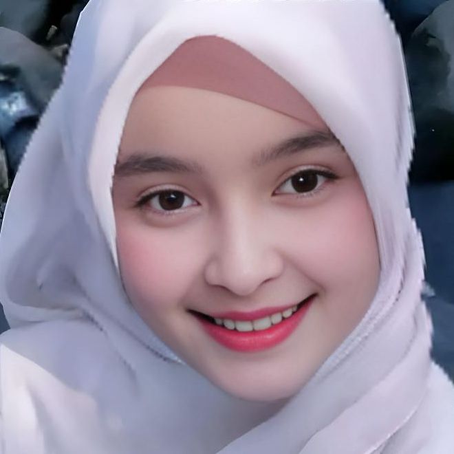 Toko raket nyamuk
