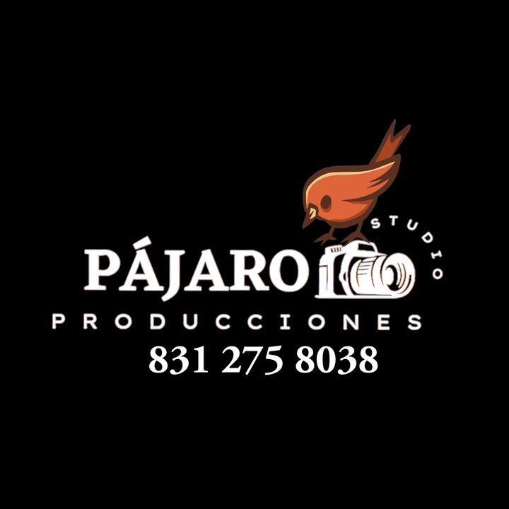 📷🐦PRODUCCIONES_PÁJARO🐦📷