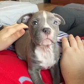 Meira🐾