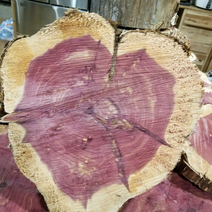 WoodWorkinWoman
