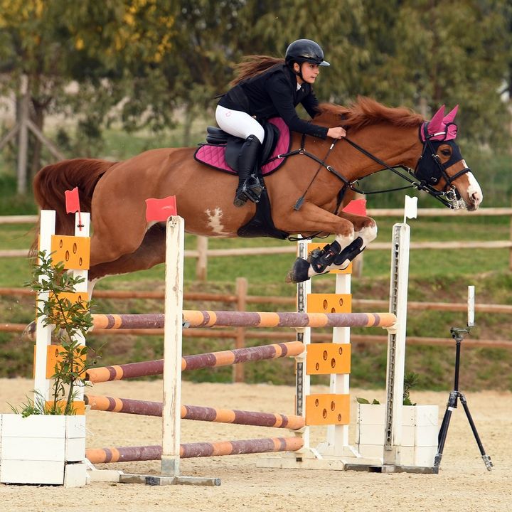 laviniaprimavera_rider