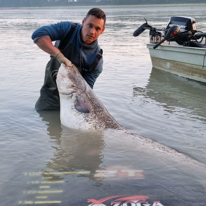 Krisztián Cirkin 🐟