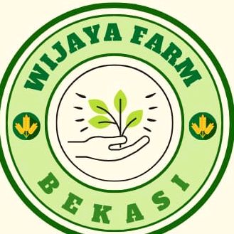 wijaya_farm3