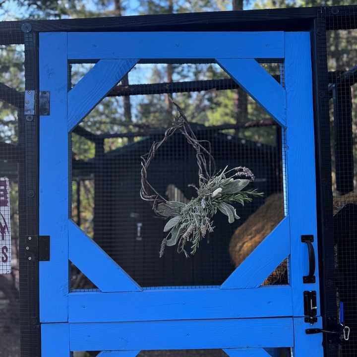 Melissa’s Oregon Homestead