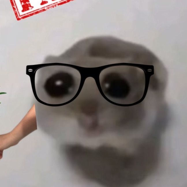 herrschwammkopf