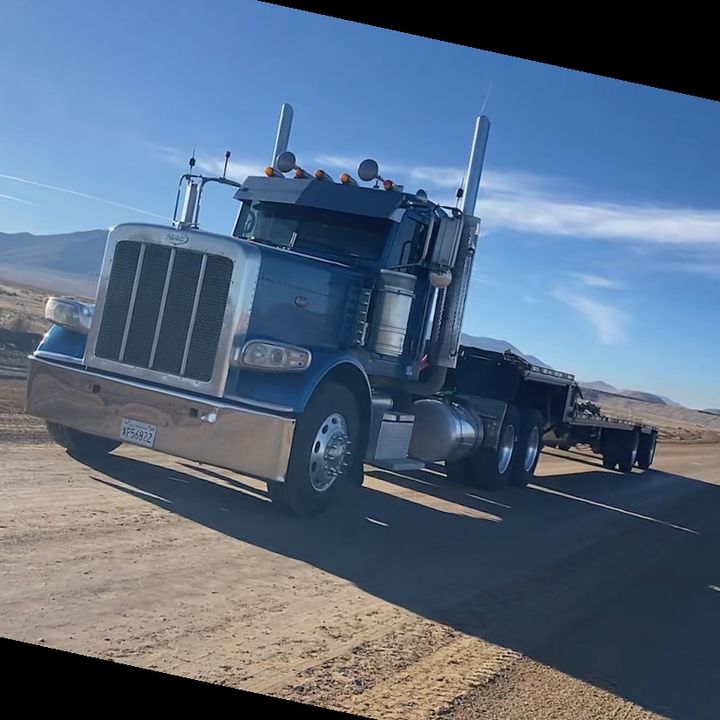 TFbarlivestock