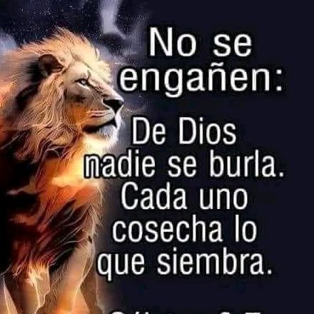 ♥️SEGUIDORES DE JESUS ♥️