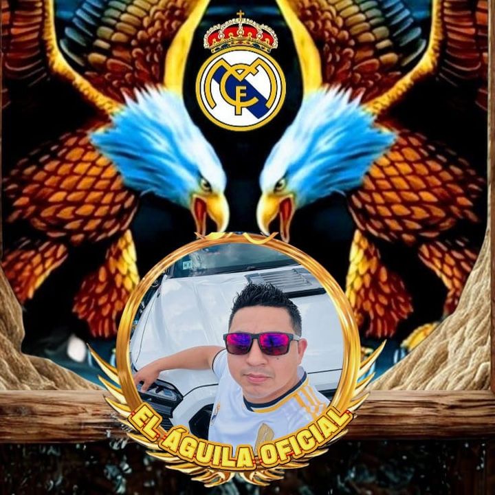 El águila 🦅 oficial of 503 🦅