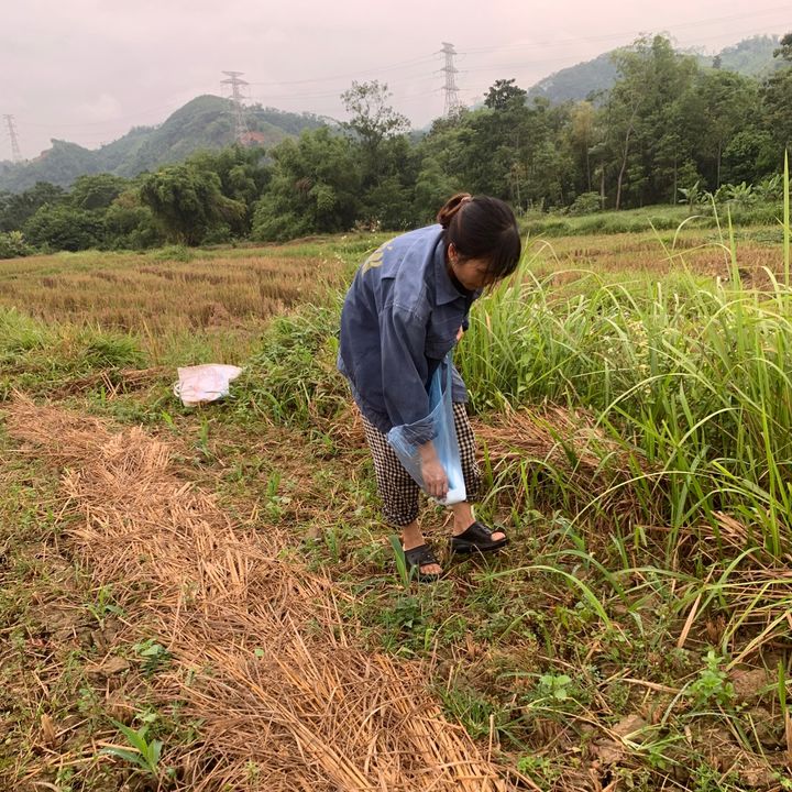 Hòa nông sản quê