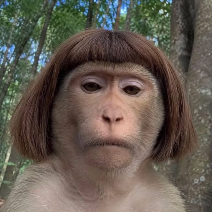 Lailaa