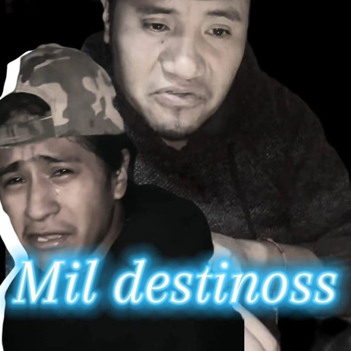 mildestinos1tata