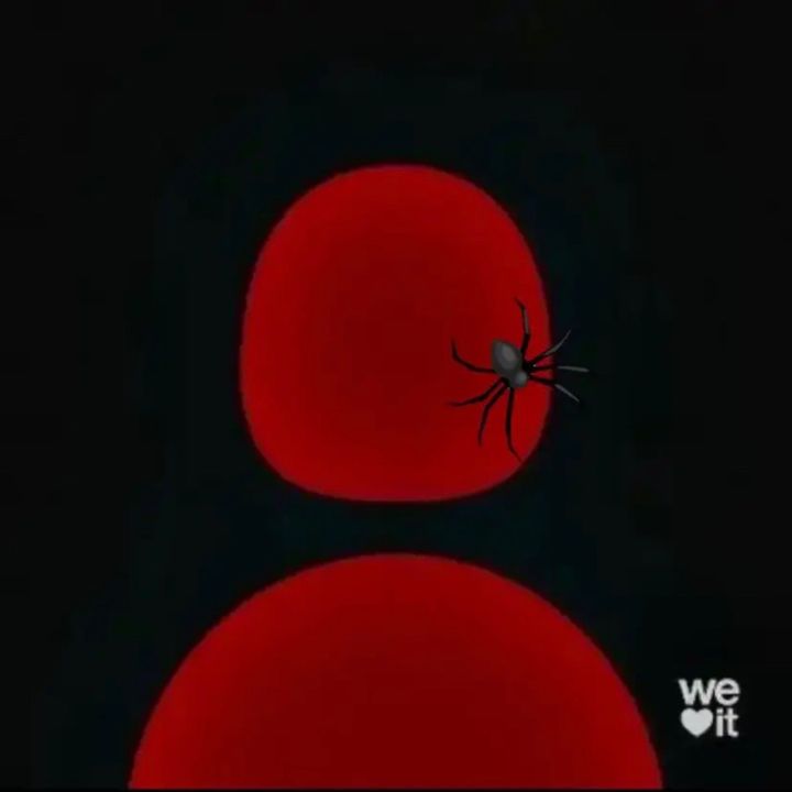𝑫𝑬𝑺𝑰