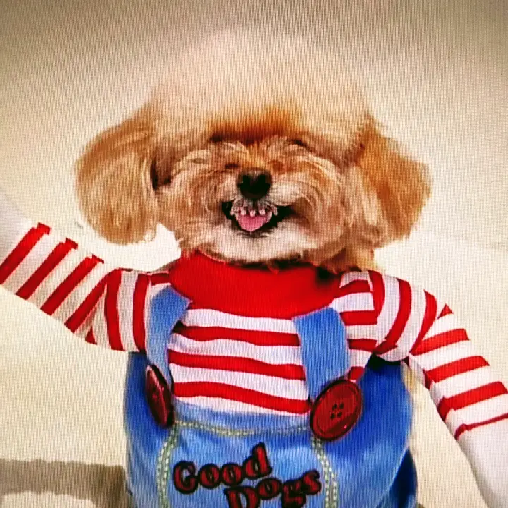 Daisy Woof