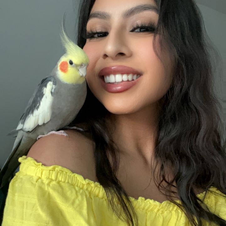 Brit & Charlie Tiel