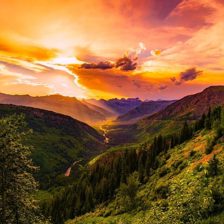 Beauty of Nature