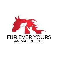 Fur Ever Yours Animal Rescue