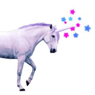 fairyglitterunicornn