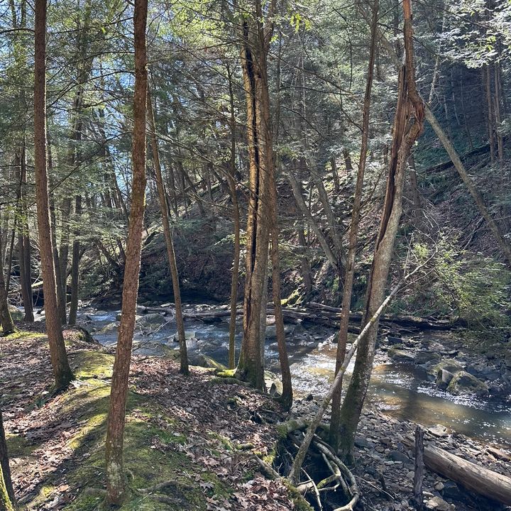 Nature_HeavenlyCrafted-Nanster