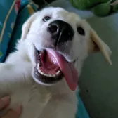 Freya
