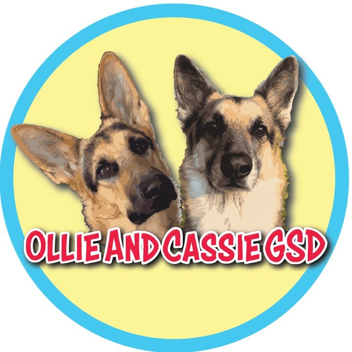 Ollie & Cassie the GSDs 🐾