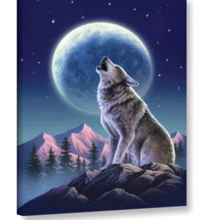 🪶🐕‍🦺LOBO 🐕🪶