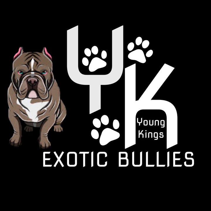 YKExoticBullies