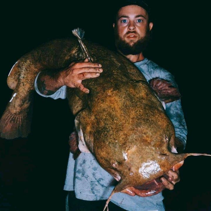 Flathead Doty