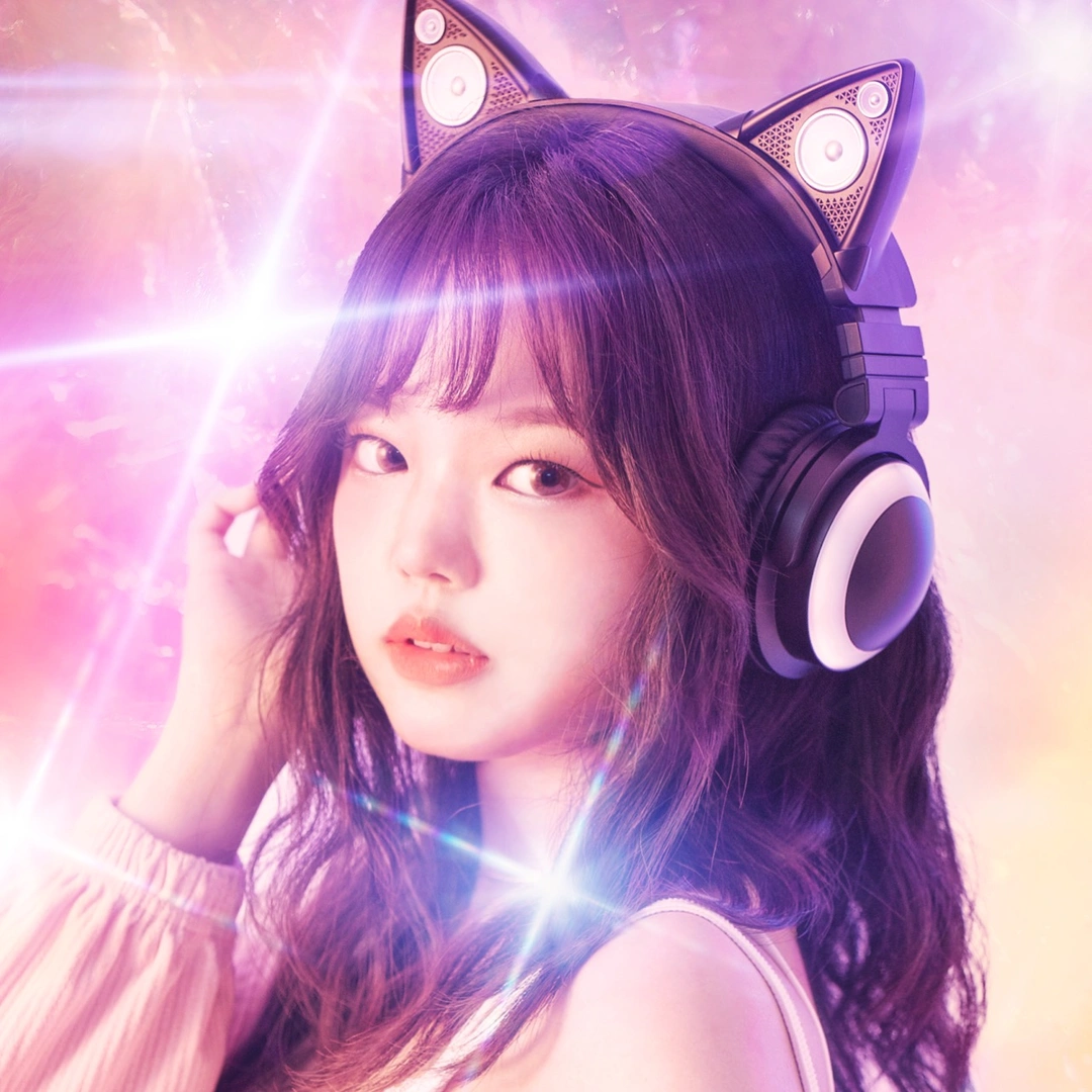 ino Cat 이노냥