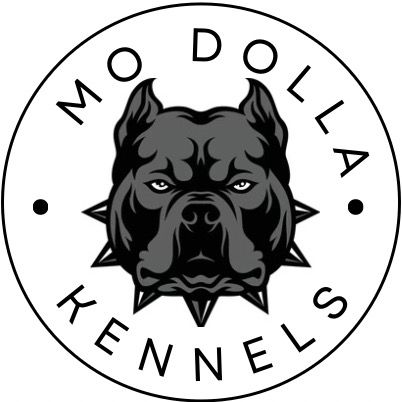 MoDollaKennel