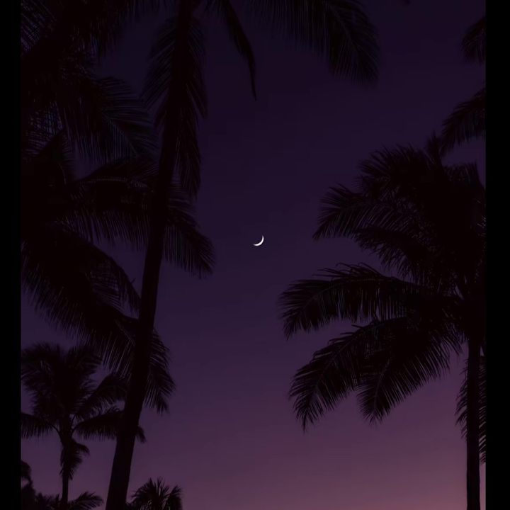 𝒦ℯ𝓋𝒾𝓃♕