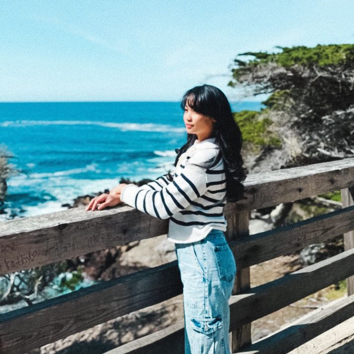 travelnurselanie