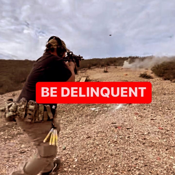 delinquent_society