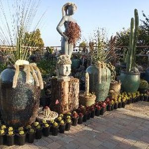 navarrosnursery