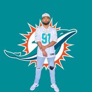 thedolphinsfamily