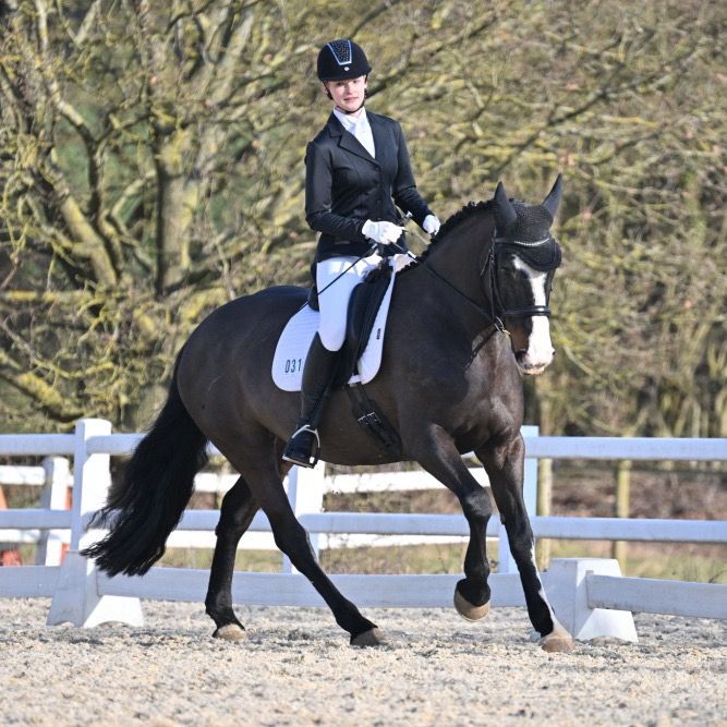 hjdressage