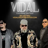 grupovidalmusicofficial