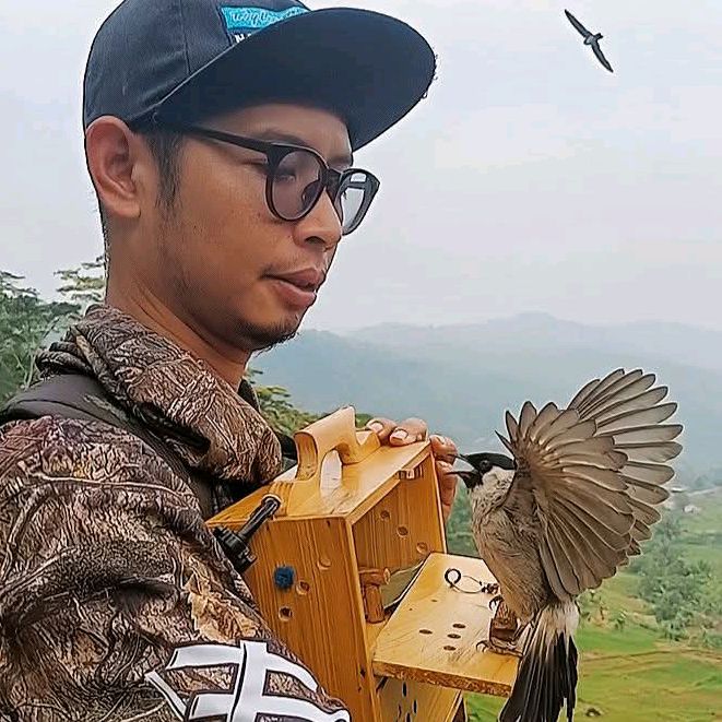 Taufik Kicau Mania