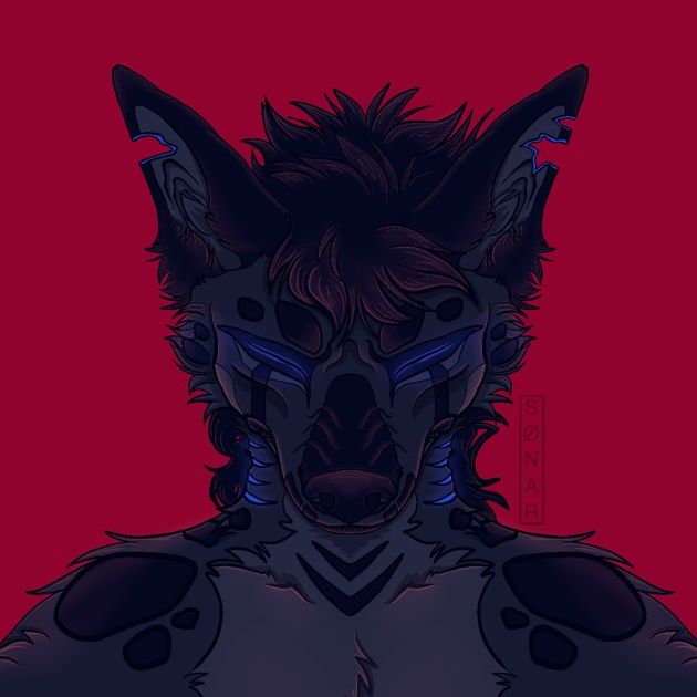 sonar_hyena_shark