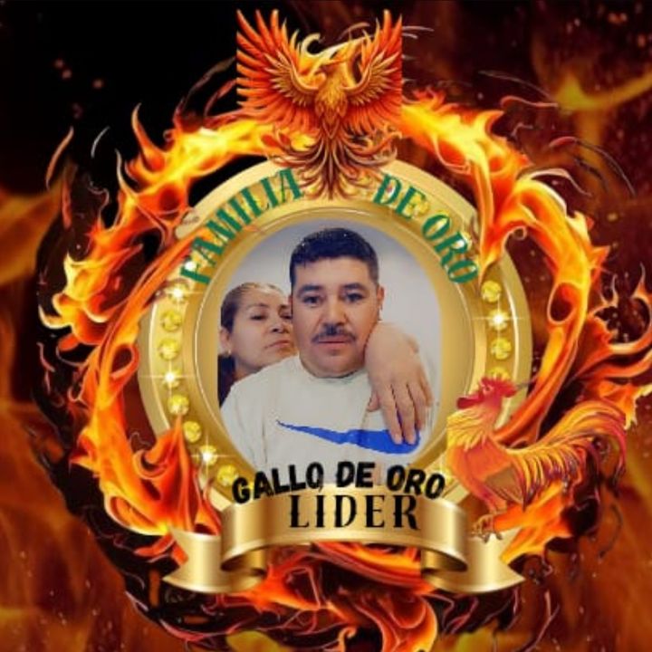 ELGALLODEORO100%JALICIENCE