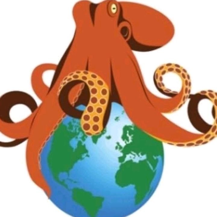 Octo Painting LLC