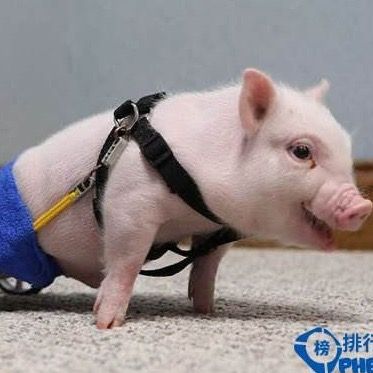 Cute baby