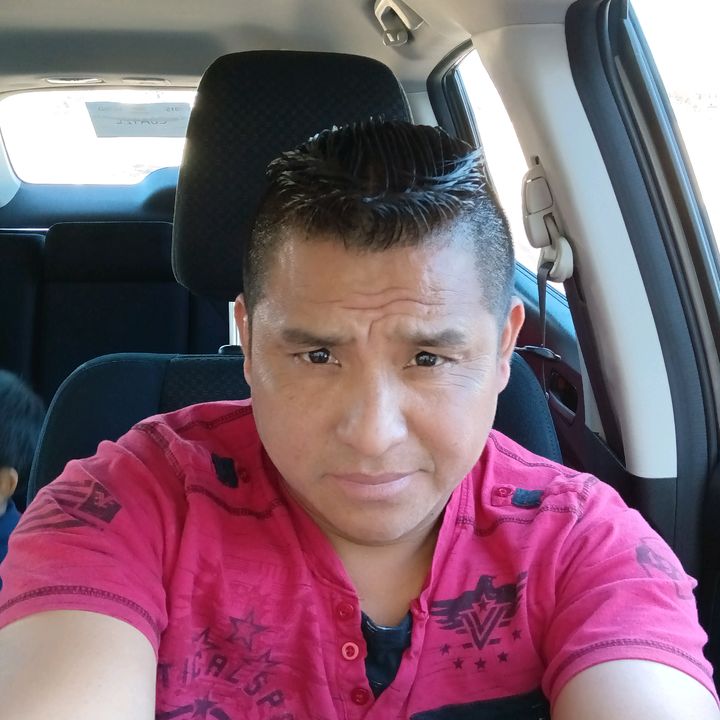 corderito 🐑