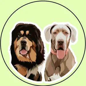 therilldogs