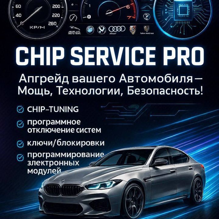 Chip Service Pro