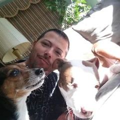 Reather Dog Products