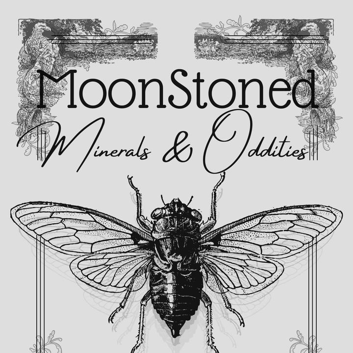 moonstonedmineralnoddity