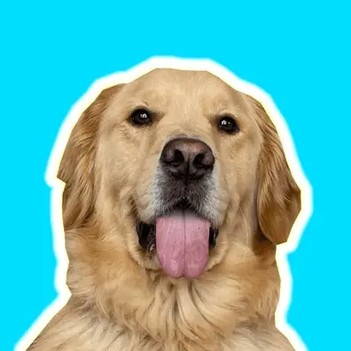 A Golden and Fam