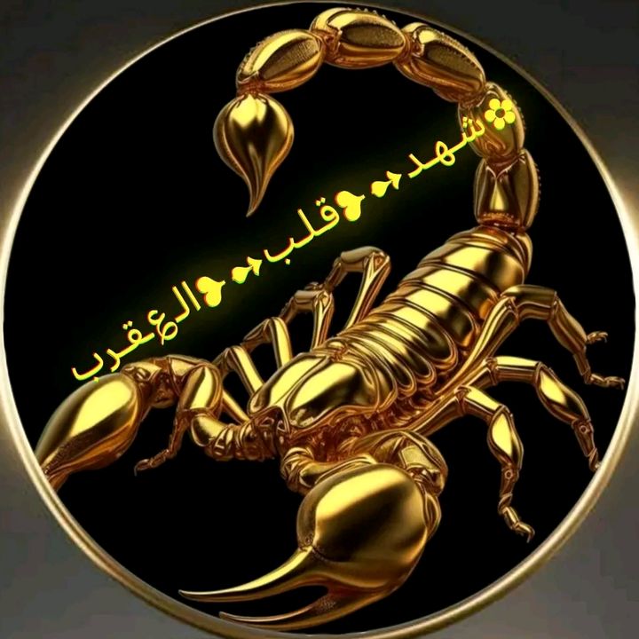 ✿شـهـد➻❥قـلـب➻❥الـ؏ـقـرب⸙ᬽـ𓄂